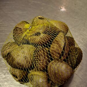 ALMEJA GALLEGA Gorda