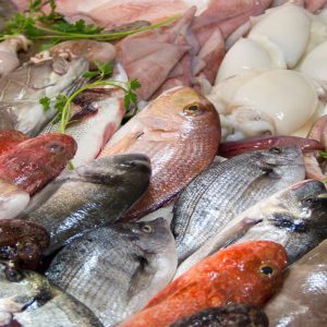 Pescado Fresco